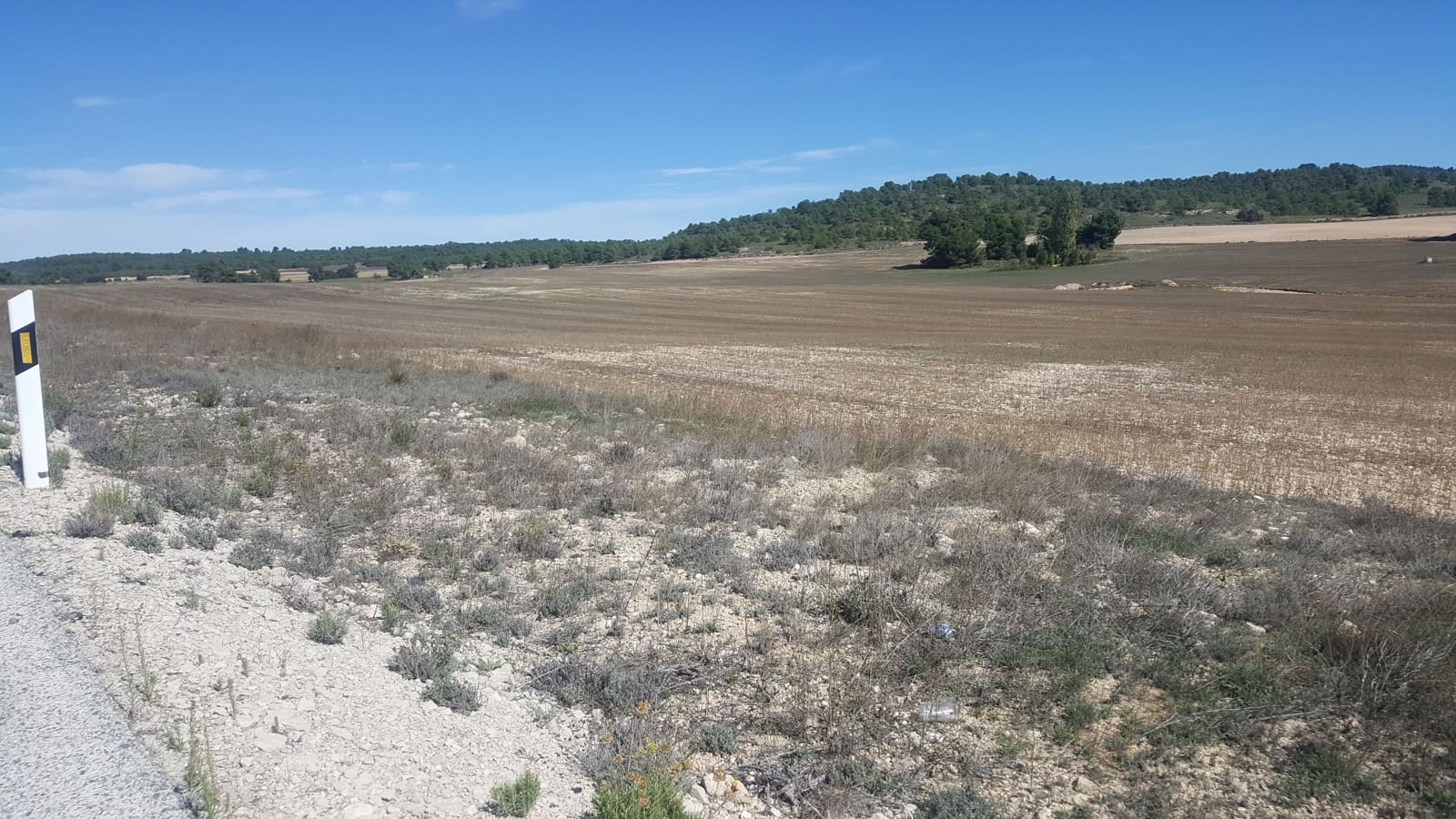 Finca/Casa di Campagna in vendita in Almansa - 1.200.000 € (Rif: 9495022)