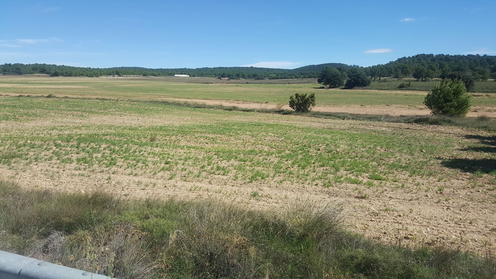 Finca/Casa di Campagna in vendita in Almansa - 1.200.000 € (Rif: 9495022)