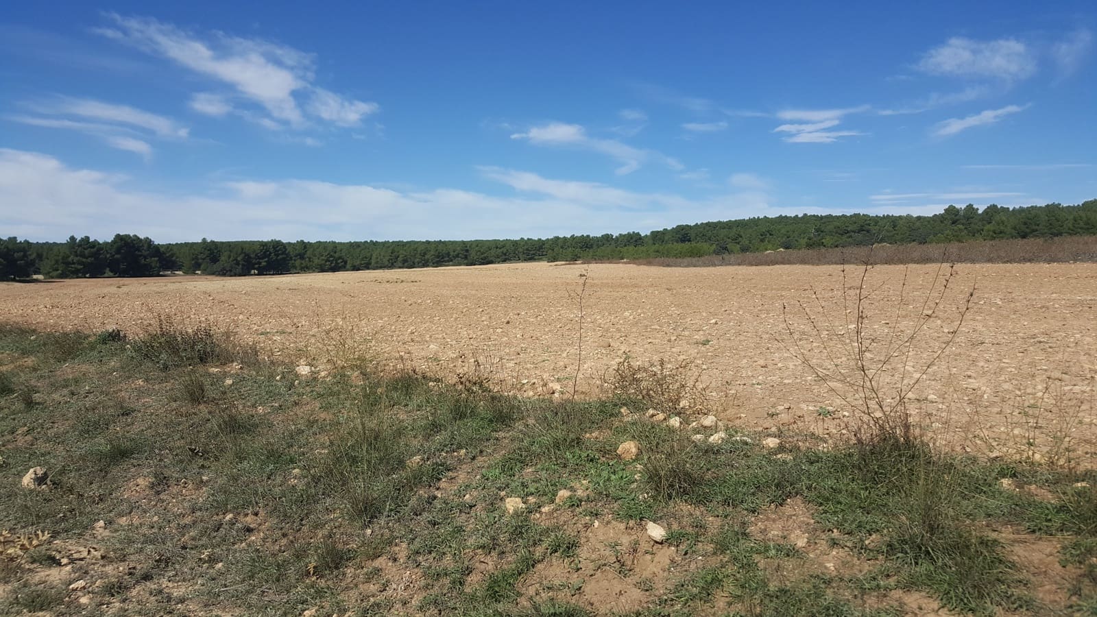 Finca/Casa di Campagna in vendita in Almansa - 1.200.000 € (Rif: 9495022)