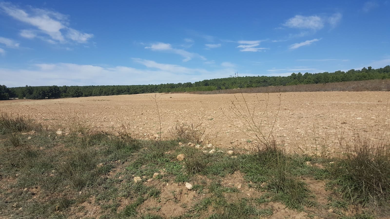 Finca/Casa di Campagna in vendita in Almansa - 1.200.000 € (Rif: 9495022)