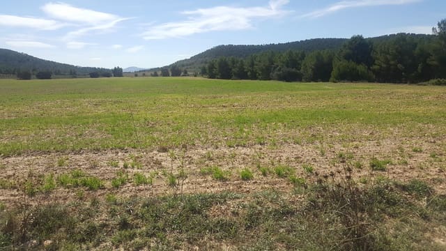 Finka/Dom wiejski na sprzedaż w Almansa - 1 200 000 € (Ref: 9495022)