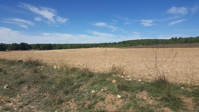 Finka/Dom wiejski na sprzedaż w Almansa - 1 200 000 € (Ref: 9495022)