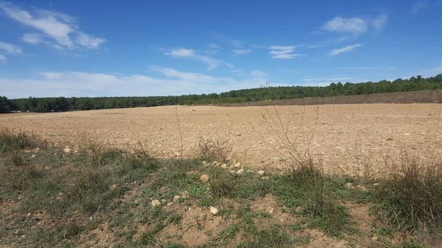 Finka/Dom wiejski na sprzedaż w Almansa - 1 200 000 € (Ref: 9495022)