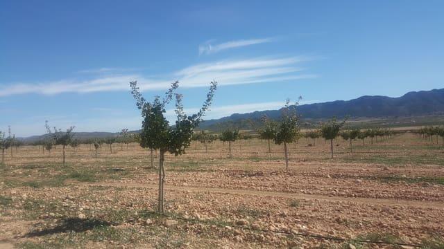 Finca/Country House for sale in Palacio, Madrid city - € 8,000,000 (Ref: 9495023)