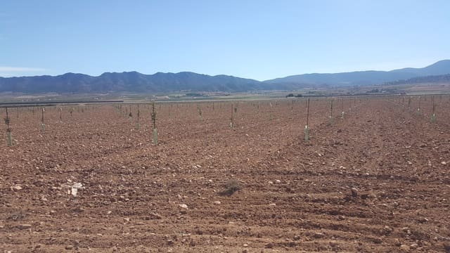 Finca/Country House for sale in Palacio, Madrid city - € 8,000,000 (Ref: 9495023)