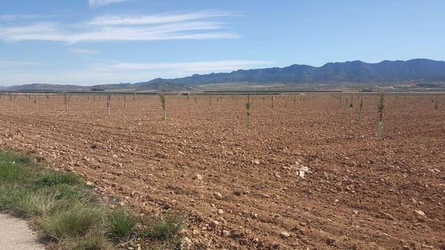 Finca/Country House for sale in Palacio, Madrid city - € 8,000,000 (Ref: 9495023)