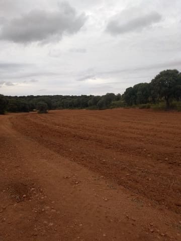 Finca/Country House for sale in Manzanares - € 14,500,000 (Ref: 9495026)