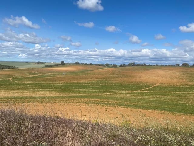 Finca/Country House for sale in Motilla del Palancar - € 6,800,000 (Ref: 9495028)