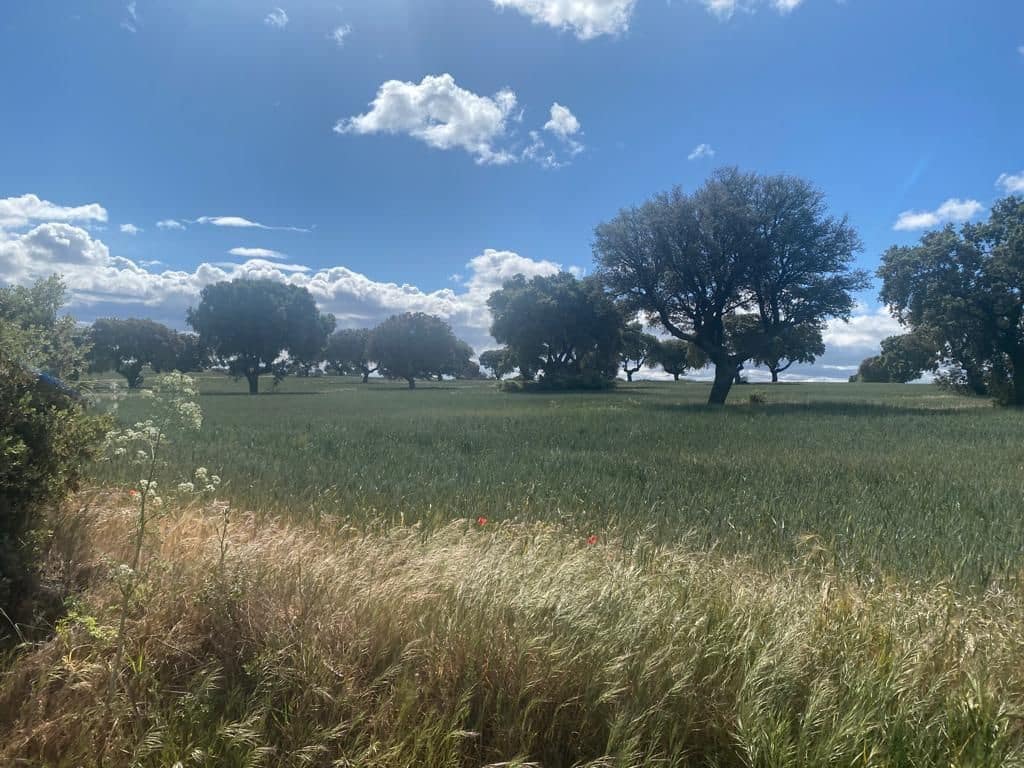 Finca/Country House for sale in Motilla del Palancar - € 6,800,000 (Ref: 9495028)