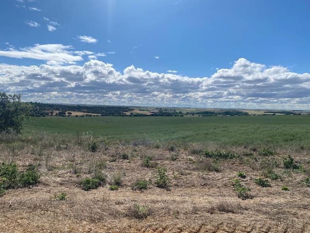 Finca/Country House for sale in Motilla del Palancar - € 6,800,000 (Ref: 9495028)