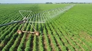 Quinta/Casa Rural para venda em Yecla - 3 600 000 € (Ref: 9495029)