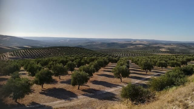 Finca/Country House for sale in Pedanias de Granada, Granada city - € 9,000,000 (Ref: 9495030)