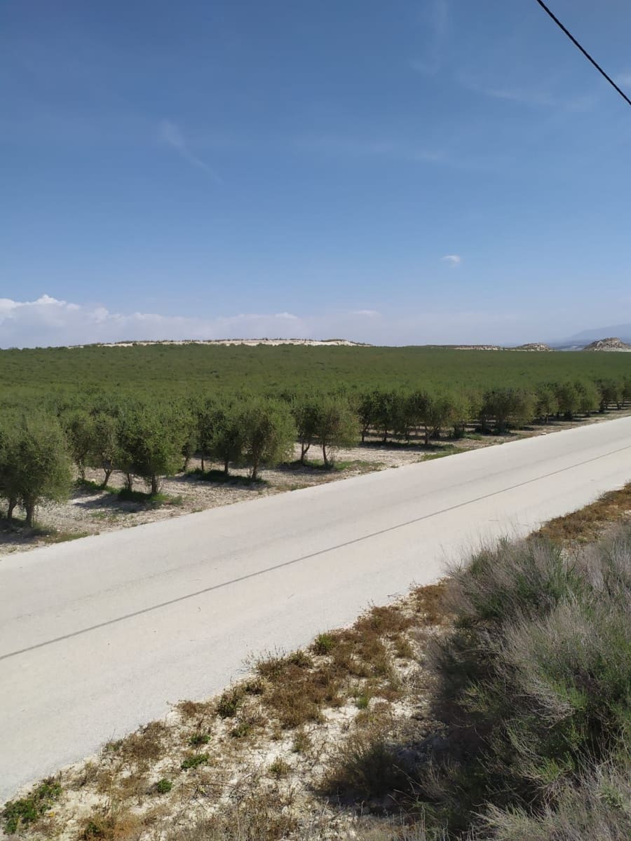 Finca/Herregård til salgs i Alhendin - € 12 000 000 (Ref: 9495031)