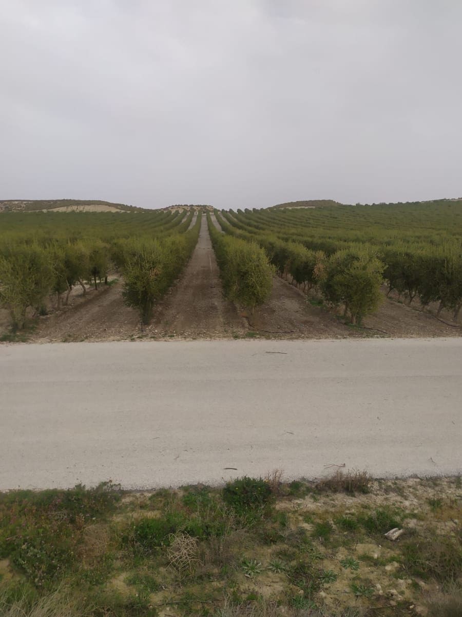 Finca/Herregård til salgs i Alhendin - € 12 000 000 (Ref: 9495031)