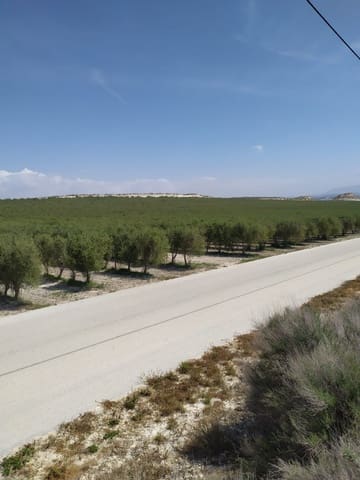 Finca/Herregård til salgs i Alhendín - € 12 000 000 (Ref: 9495031)