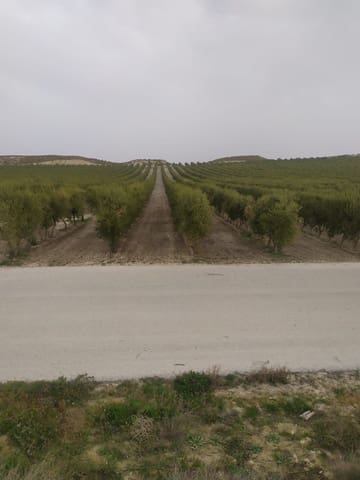 Finca/Herregård til salgs i Alhendín - € 12 000 000 (Ref: 9495031)