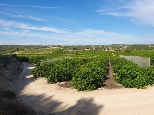 Maalaistalo myytävänä paikassa Pilar de la Horadada ciudad, Pilar de la Horadada - 20 000 000 € (Ref: 9495032)