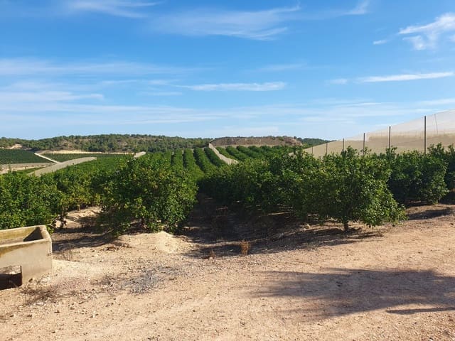 Maalaistalo myytävänä paikassa Pilar de la Horadada ciudad, Pilar de la Horadada - 20 000 000 € (Ref: 9495032)