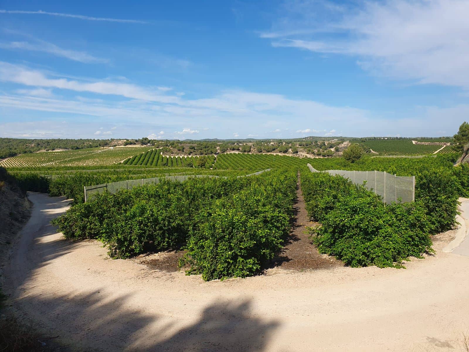 Maalaistalo myytävänä paikassa Pilar de la Horadada - 20 000 000 € (Ref: 9495032)