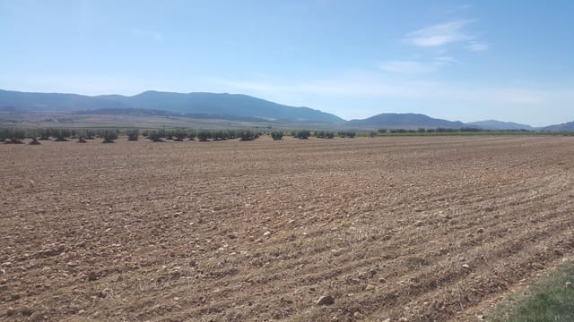 Quinta/Casa Rural para venda em Yecla - 10 000 000 € (Ref: 9495033)