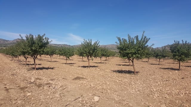 Quinta/Casa Rural para venda em Yecla - 10 000 000 € (Ref: 9495033)