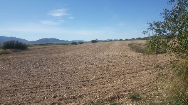 Quinta/Casa Rural para venda em Yecla - 10 000 000 € (Ref: 9495033)