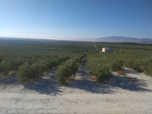 Finca/Landhuis te koop in Colores, Entreparques, Sevilla stad - € 14.500.000 (Ref: 9495034)