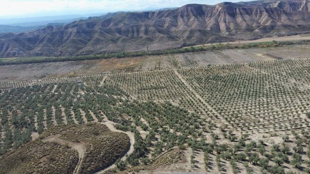 Finca/Landhuis te koop in Colores, Entreparques, Sevilla stad - € 14.500.000 (Ref: 9495034)