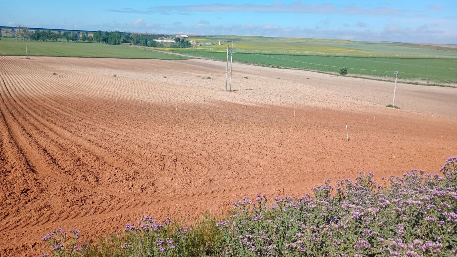 Finca/Country House for sale in Valladolid city - € 13,000,000 (Ref: 9495035)