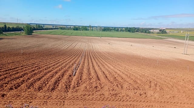 Finca/Country House for sale in Valladolid city - € 13,000,000 (Ref: 9495035)