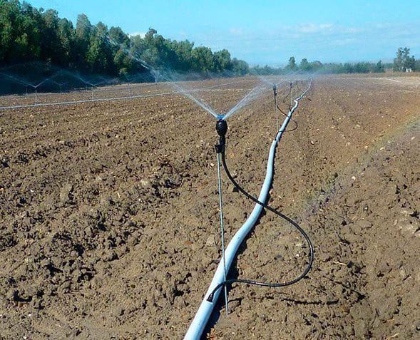 Finca/Landgut zu verkaufen in Ciudad Real Stadt - 8.000.000 € (Ref: 9495038)