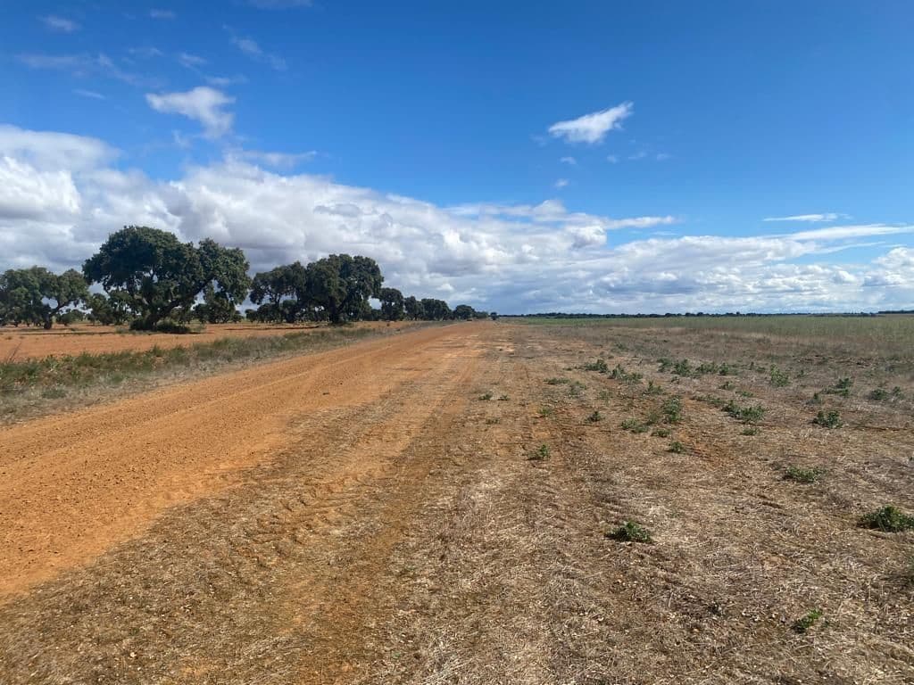 Finca/Landgut zu verkaufen in Ciudad Real Stadt - 8.000.000 € (Ref: 9495038)