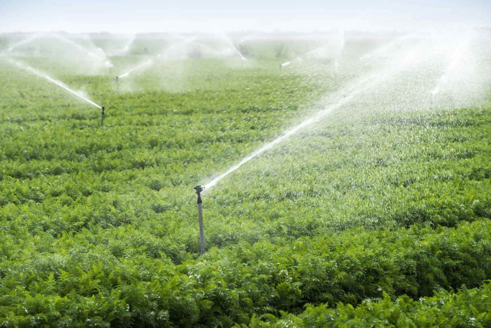 Finca/Landgut zu verkaufen in Ciudad Real Stadt - 8.000.000 € (Ref: 9495038)