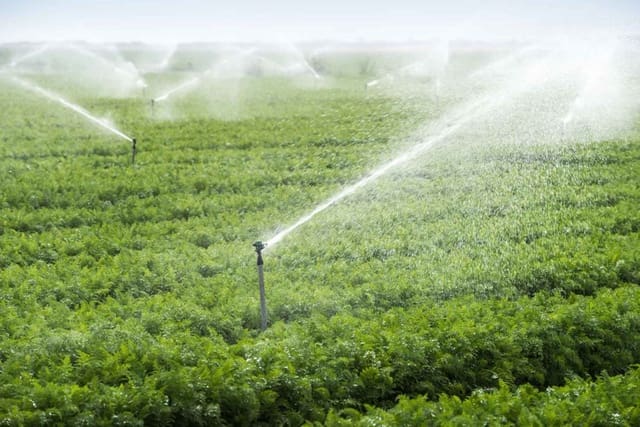 Finca/Landgut zu verkaufen in Ciudad Real Stadt - 8.000.000 € (Ref: 9495038)