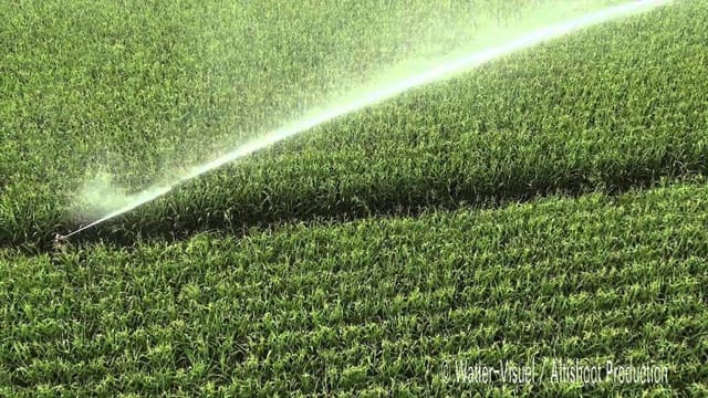 Finca/Landgut zu verkaufen in Ciudad Real Stadt - 8.000.000 € (Ref: 9495038)