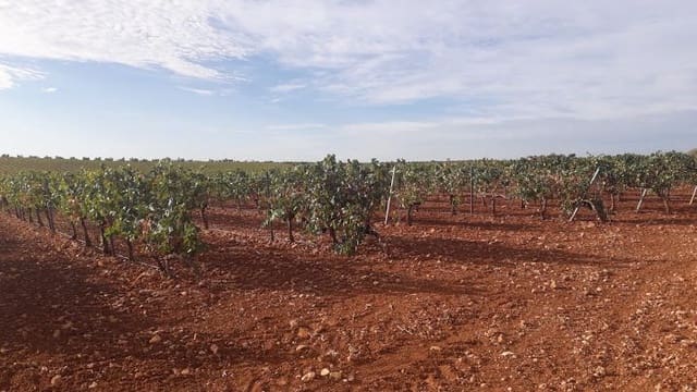 Finca/Landgut zu verkaufen in Renau - 125.000 € (Ref: 9495039)