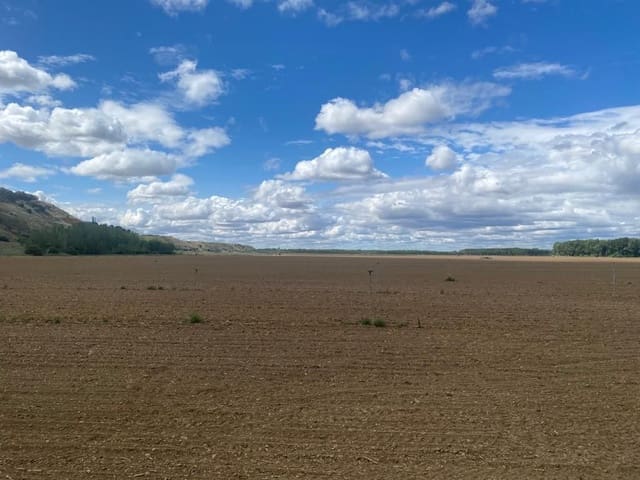 Finca/Landgut zu verkaufen in Renau - 125.000 € (Ref: 9495039)