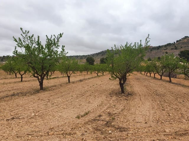 Finca/Landgut zu verkaufen in Renau - 125.000 € (Ref: 9495039)