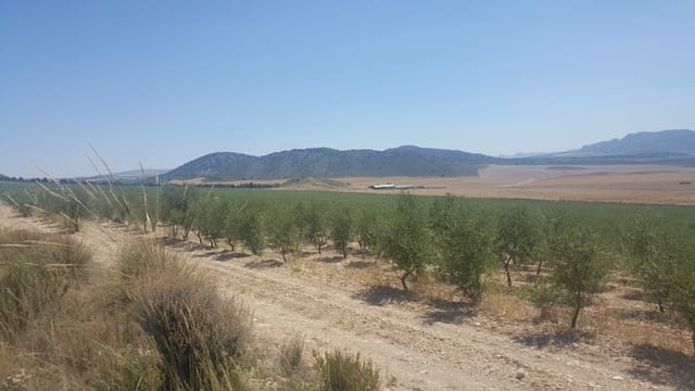 Finca/Landgut zu verkaufen in Renau - 125.000 € (Ref: 9495039)