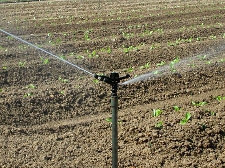 Finca/Country House for sale in Toledo city - € 15,000,000 (Ref: 9495040)