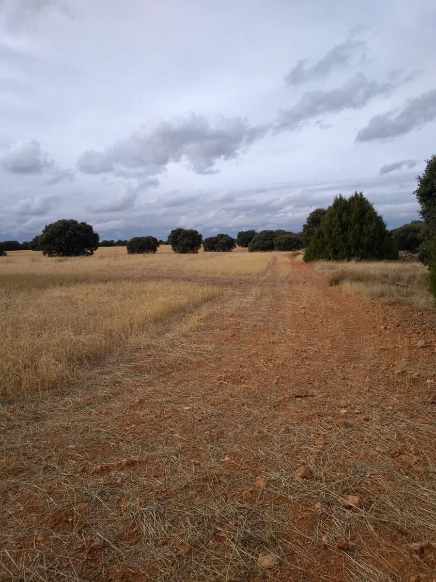 Finca/Country House for sale in Toledo city - € 15,000,000 (Ref: 9495040)