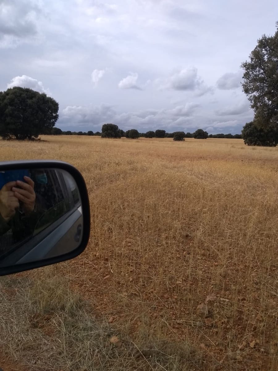 Finca/Country House for sale in Toledo city - € 15,000,000 (Ref: 9495040)