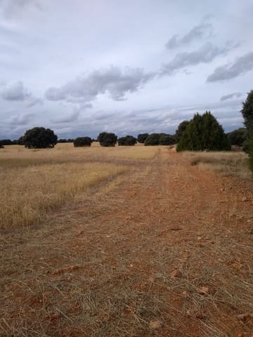 Finca/Country House for sale in Toledo city - € 15,000,000 (Ref: 9495040)