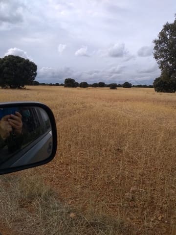 Finca/Country House for sale in Toledo city - € 15,000,000 (Ref: 9495040)