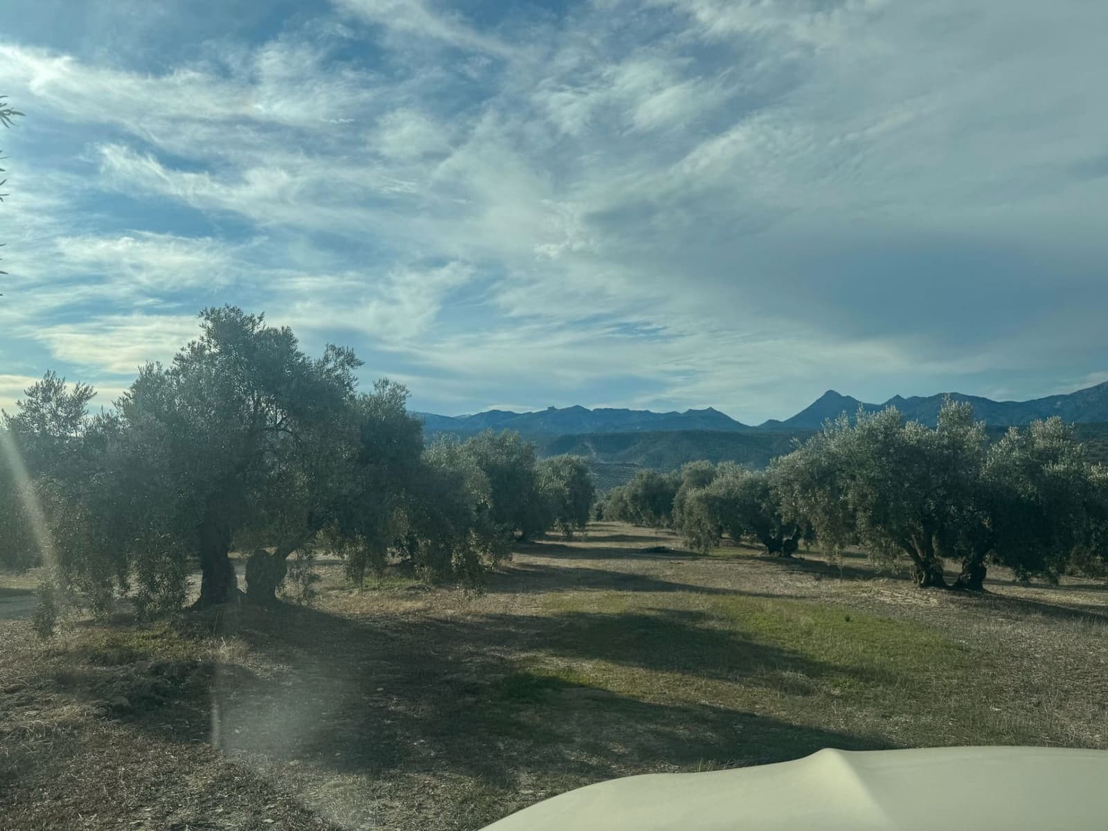 Finka/Dom wiejski na sprzedaż w Alhendin - 2 300 000 € (Ref: 9495042)