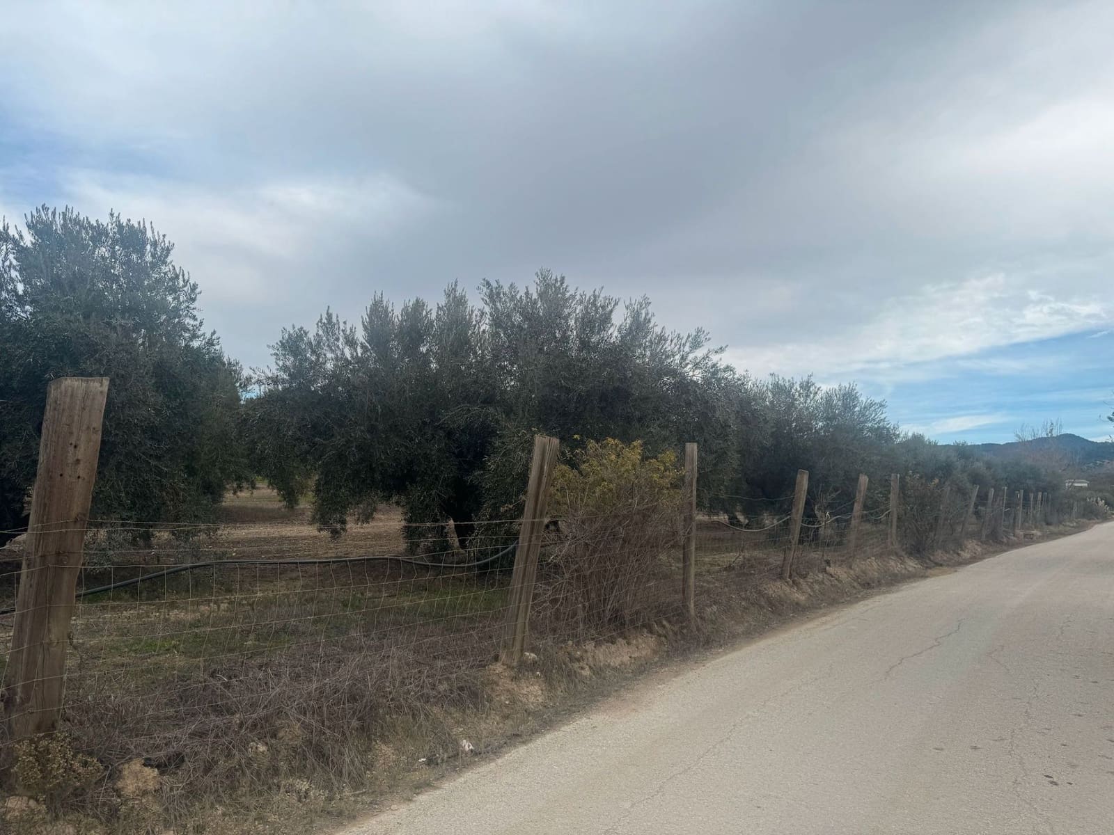 Finka/Dom wiejski na sprzedaż w Alhendin - 2 300 000 € (Ref: 9495042)