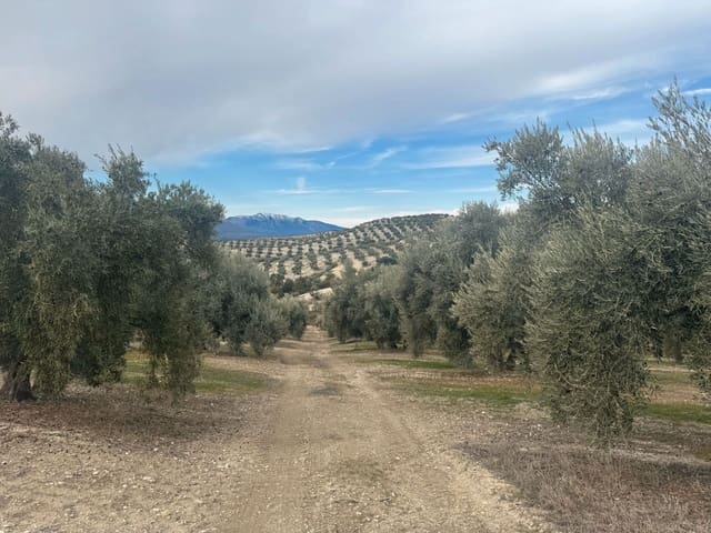 Finka/Dom wiejski na sprzedaż w Alhendín - 2 300 000 € (Ref: 9495042)