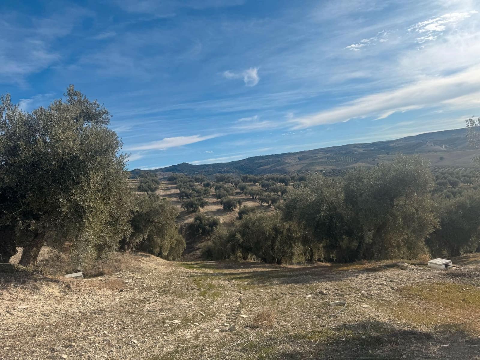 Finka/Dom wiejski na sprzedaż w Alhendin - 2 300 000 € (Ref: 9495042)