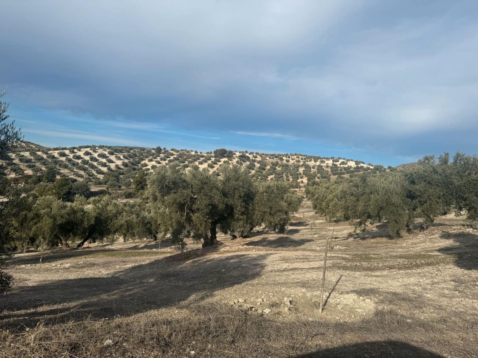 Finka/Dom wiejski na sprzedaż w Alhendin - 2 300 000 € (Ref: 9495042)