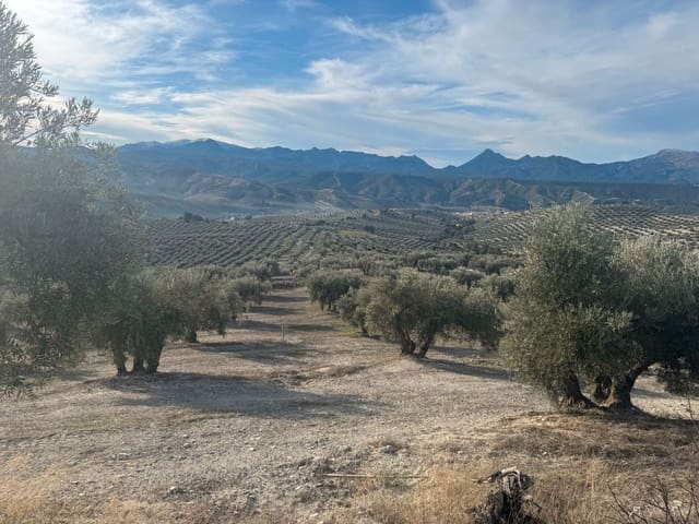 Finka/Dom wiejski na sprzedaż w Alhendín - 2 300 000 € (Ref: 9495042)